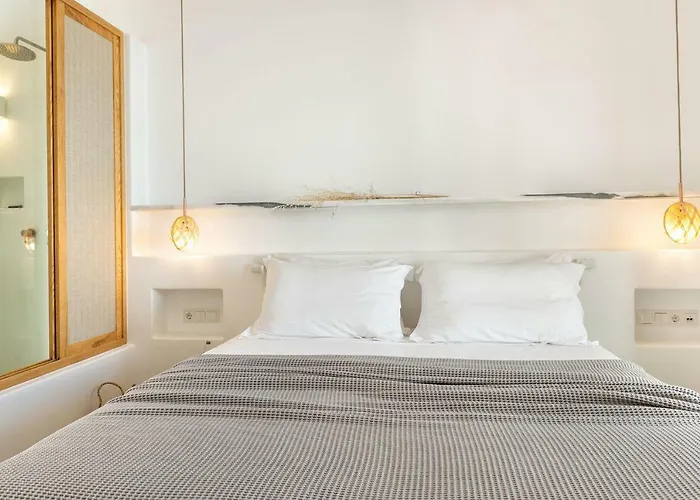 Anemomylos Apartment Naousa (Paros)