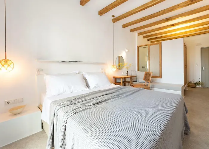 Apartment Anemomylos Naousa (Paros)