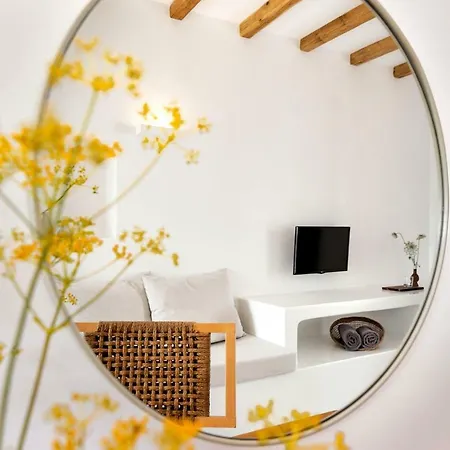 Anemomylos Apartment Naousa (Paros)